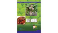 Image of Aneka Manfaat Buah Mangga